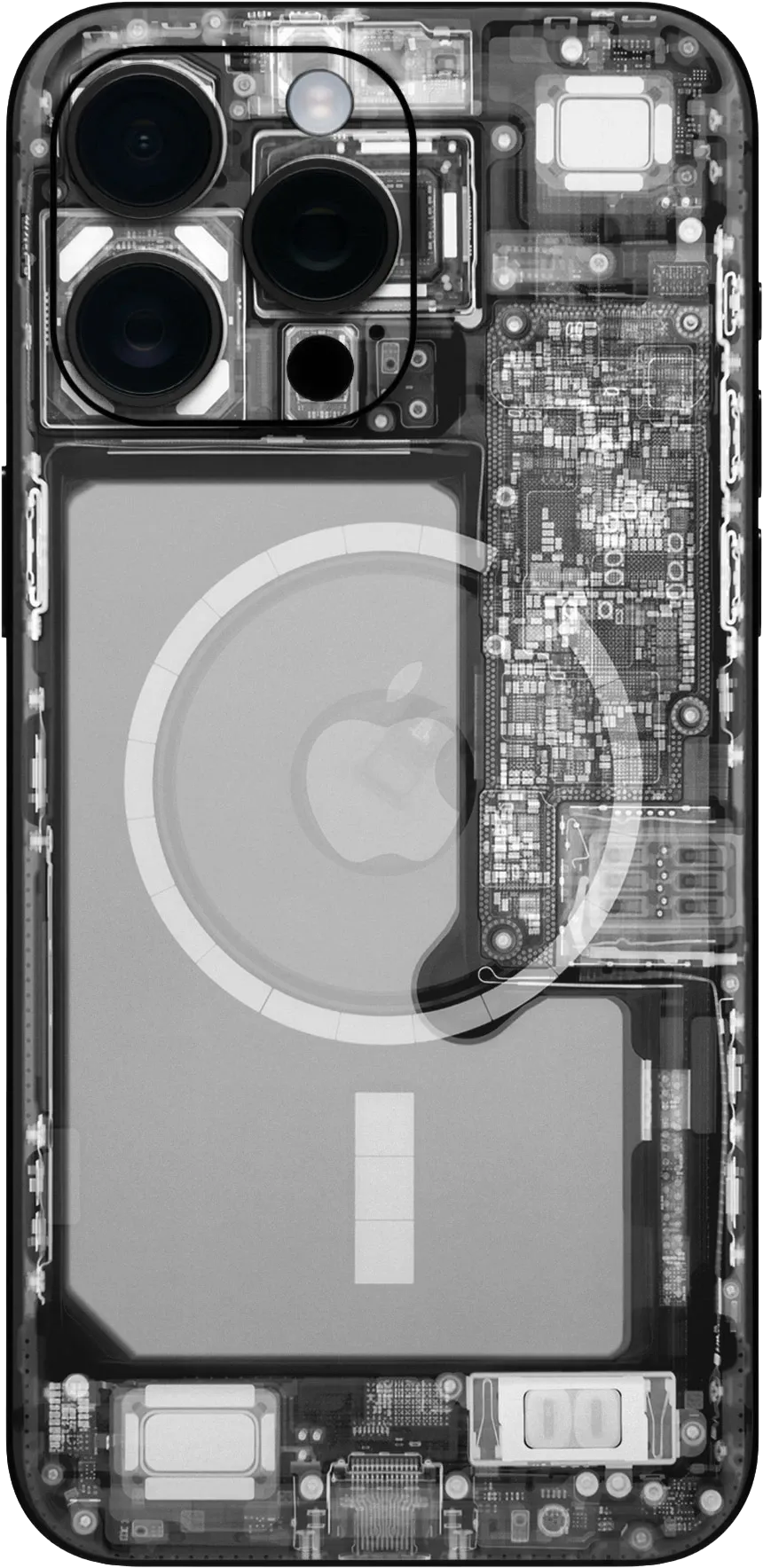 X-RAY (DARK)
